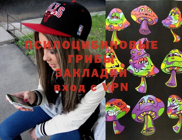 тгк Абаза