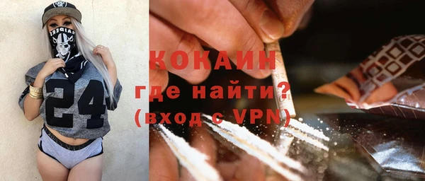 тгк Абаза